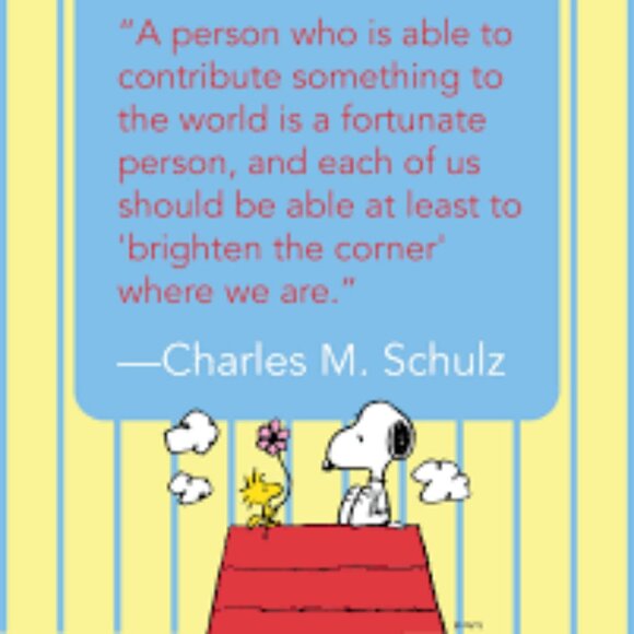 Nice Vintage Hardcover Edition of the Peanuts Book Go Fly a Kite, Charlie Brown - Picture 16 of 16